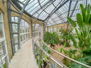 City guide : visiter Amsterdam en 4 jours (+budget)