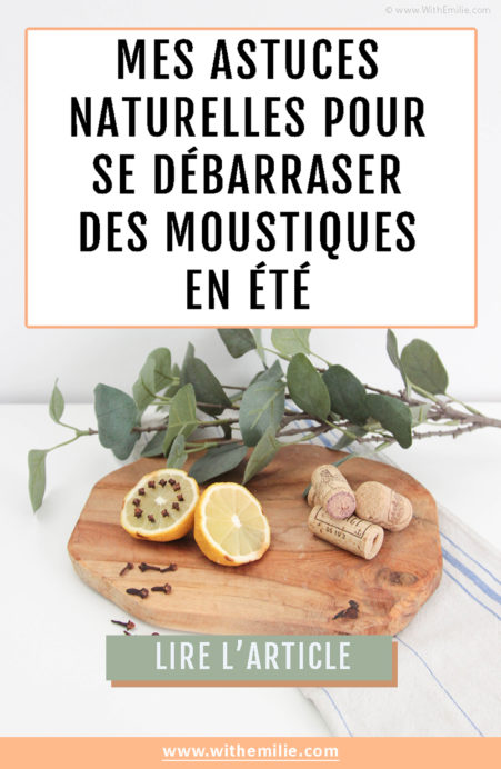 Se débarrasser des moucherons dans la cuisine : guide ultime