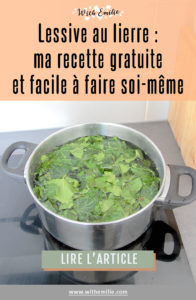 Recette lessive au lierre With Emilie Blog Pinterest