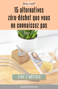 15 choses qui ont une alternative réutilisable que vous ne connaissez pas- WithEmilieBlog Pinterest