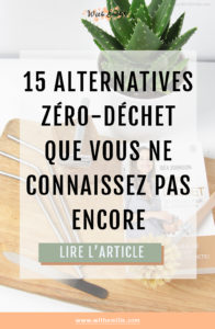 15 choses qui ont une alternative réutilisable que vous ne connaissez pas- WithEmilieBlog Pinterest