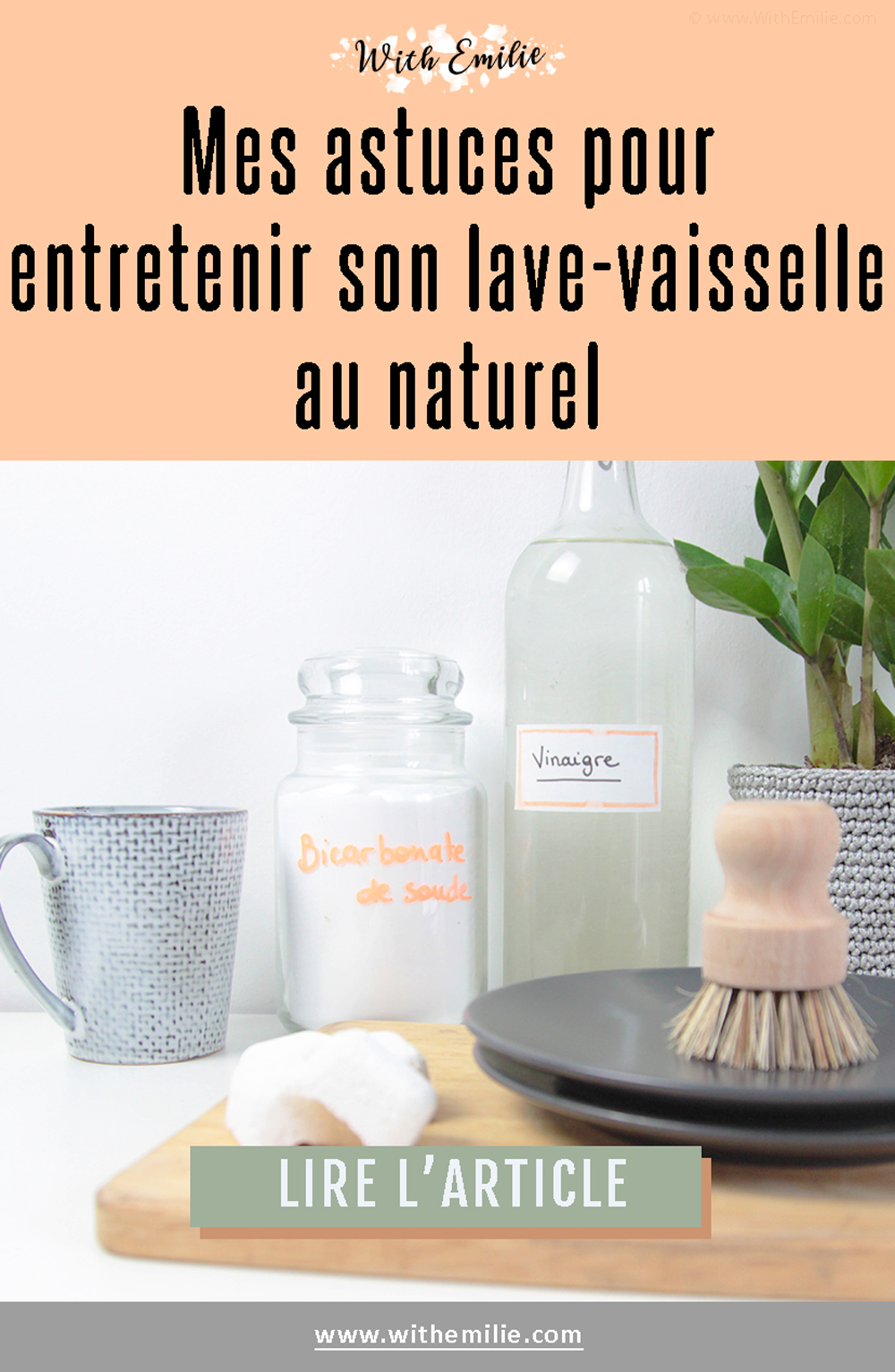 Entretenir-son-lave-vaisselle-naturellement-WithEmilieBlog-PinterestV2