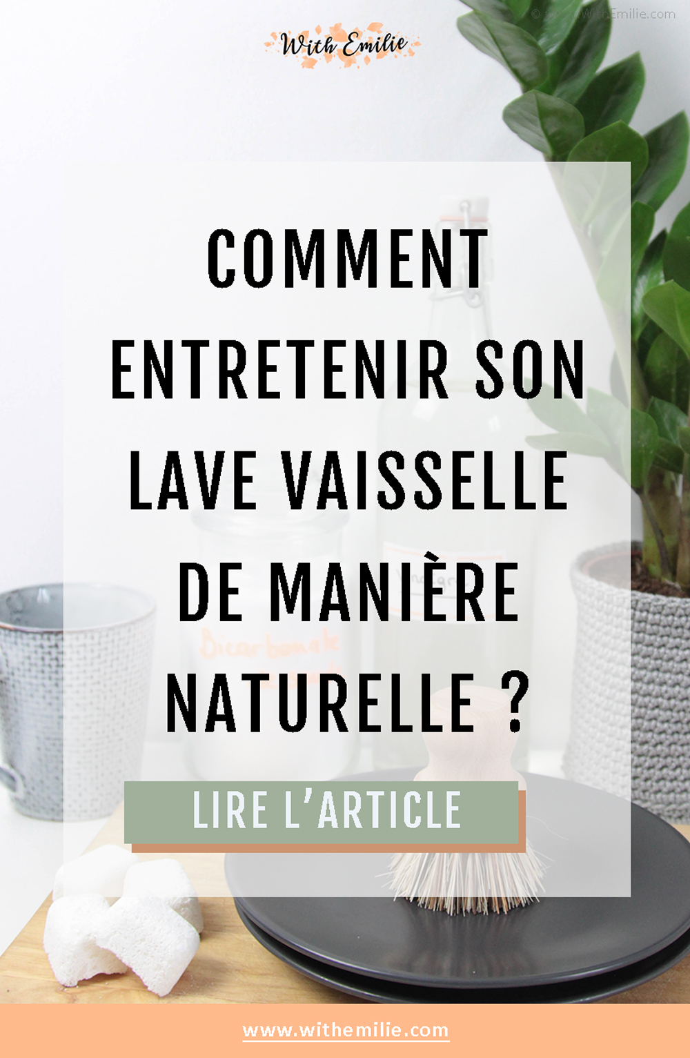 Entretenir-son-lave-vaisselle-naturellement-WithEmilieBlog-PinterestV3