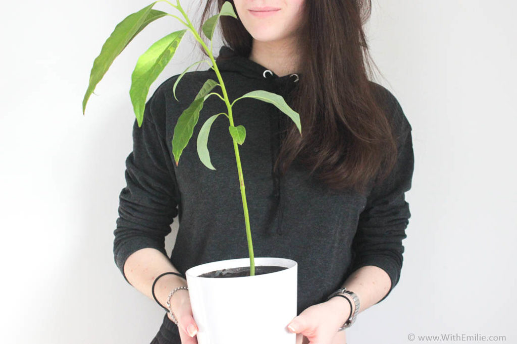 40 façons de réduire son impact écologique WithEmilieBlog