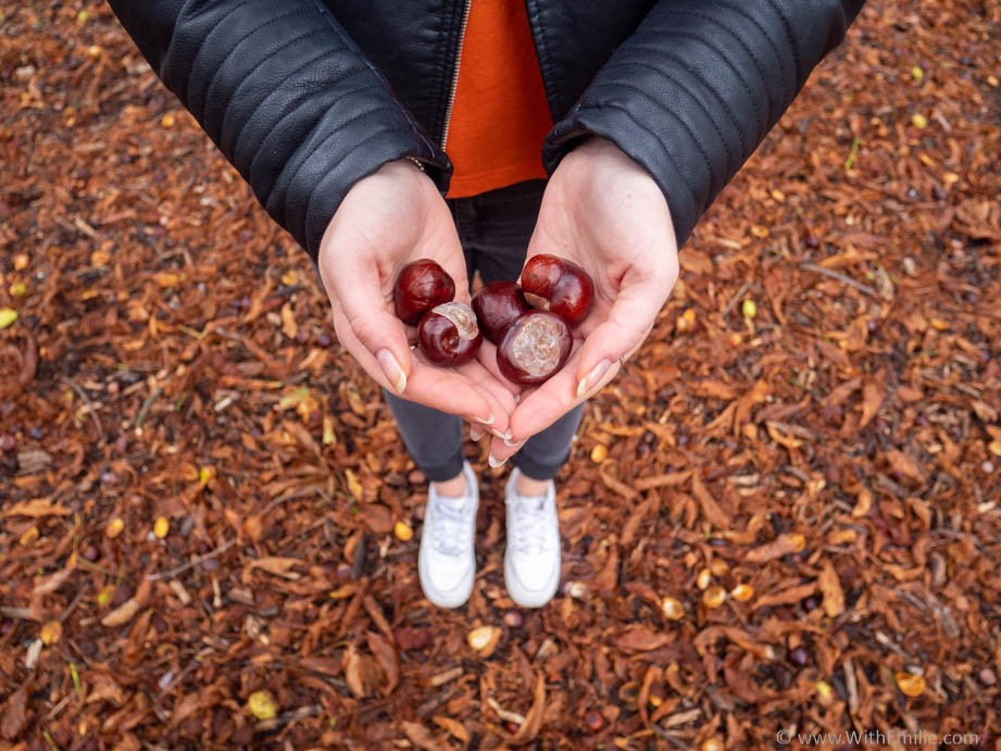5 façons de garder le moral en automne- WithEmilieBlog