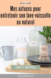 Entretenir-son-lave-vaisselle-naturellement-WithEmilieBlog-PinterestV2